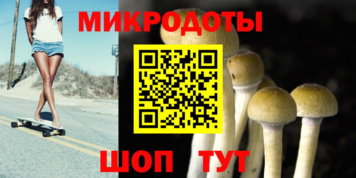 Псилоцибиновые грибы прущие грибы  Вход с VPN  Вятские Поляны  Галлюциногенные грибы Cubensis 