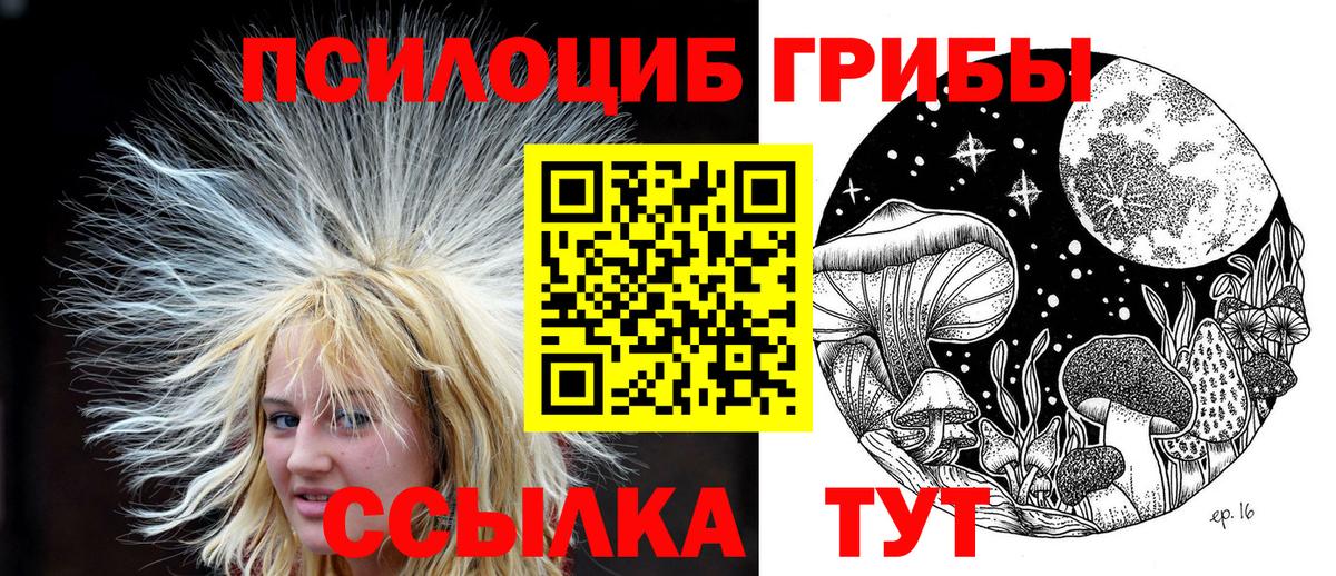 Галлюциногенные грибы ЛСД Вятские Поляны